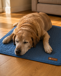 PolarPad cooling mat for dogs with a senior dog resting on it